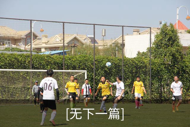 [无下一篇]